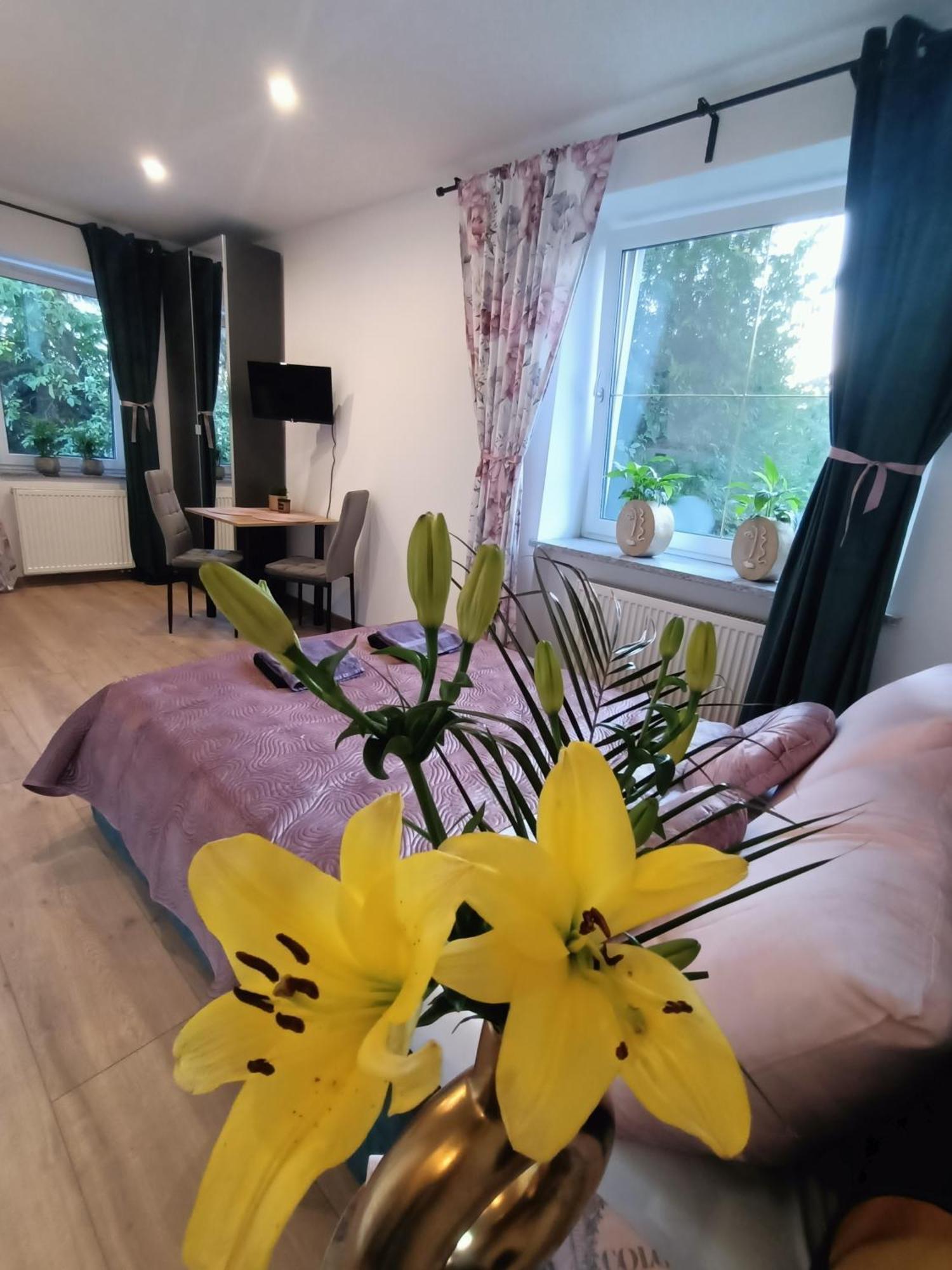 Apartament Royal Evitabocelli Spodek By Walk *